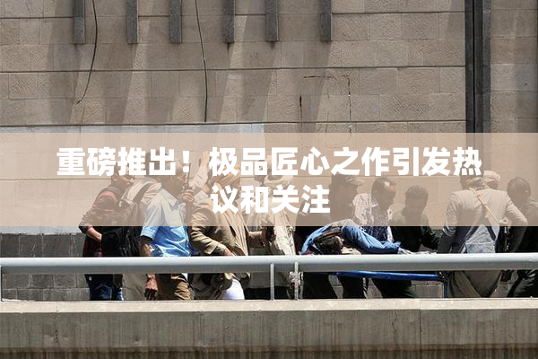 重磅推出！极品匠心之作引发热议和关注