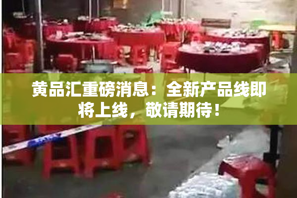 黄品汇重磅消息：全新产品线即将上线，敬请期待！