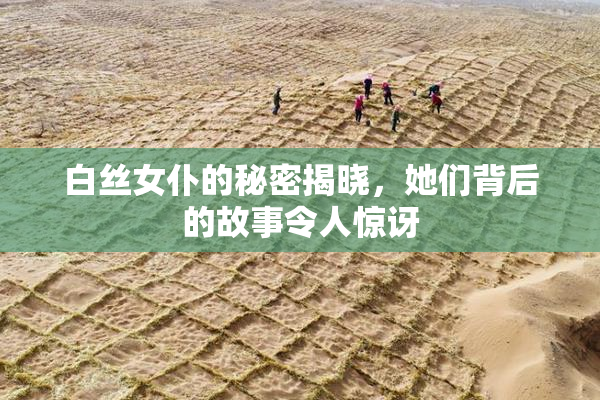 白丝女仆的秘密揭晓，她们背后的故事令人惊讶
