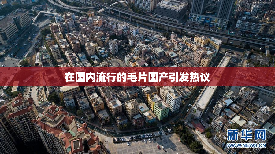在国内流行的毛片国产引发热议
