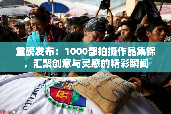 重磅发布：1000部拍摄作品集锦，汇聚创意与灵感的精彩瞬间