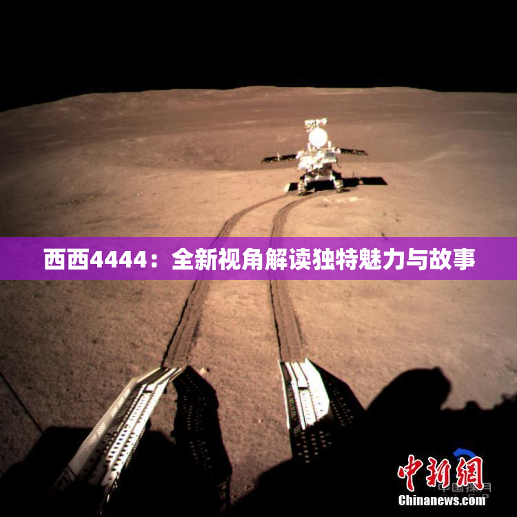 西西4444：全新视角解读独特魅力与故事