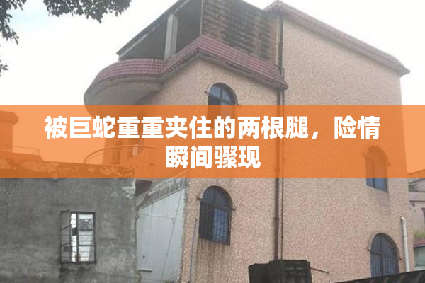被巨蛇重重夹住的两根腿，险情瞬间骤现
