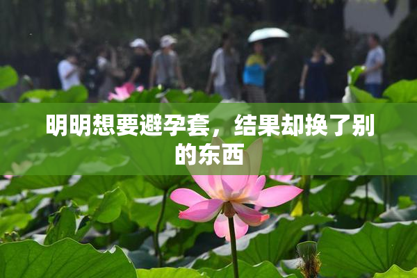 明明想要避孕套，结果却换了别的东西
