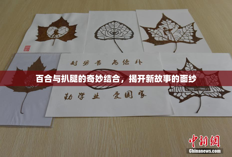百合与扒腿的奇妙结合，揭开新故事的面纱