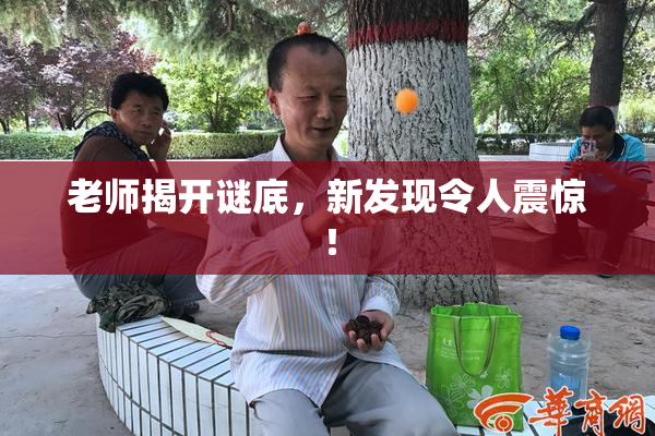 老师揭开谜底，新发现令人震惊！