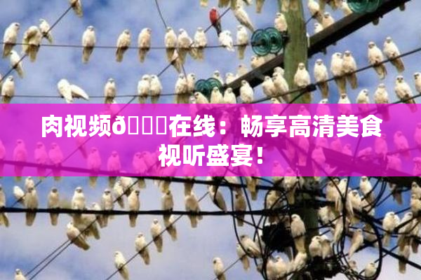 肉视频🔞在线：畅享高清美食视听盛宴！