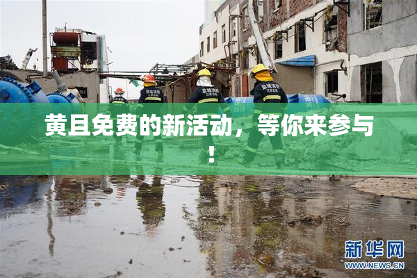 黄且免费的新活动，等你来参与！