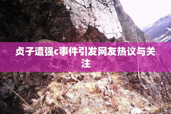 贞子遭强c事件引发网友热议与关注