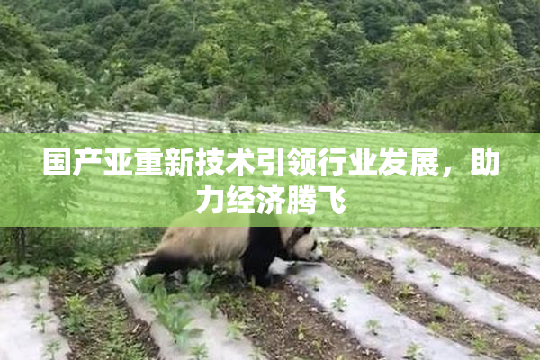 国产亚重新技术引领行业发展，助力经济腾飞