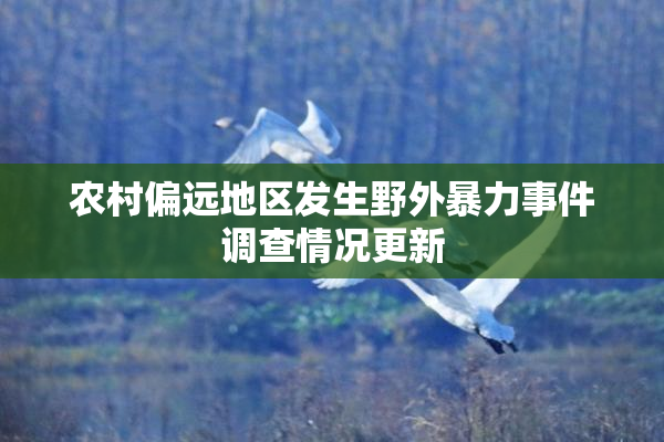 农村偏远地区发生野外暴力事件调查情况更新