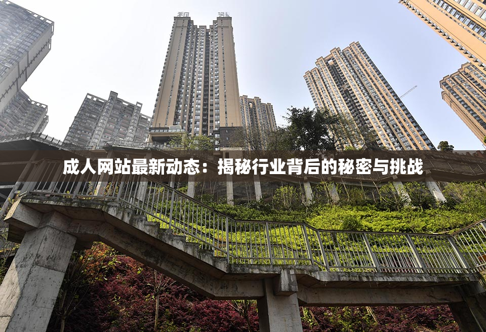 成人网站最新动态：揭秘行业背后的秘密与挑战