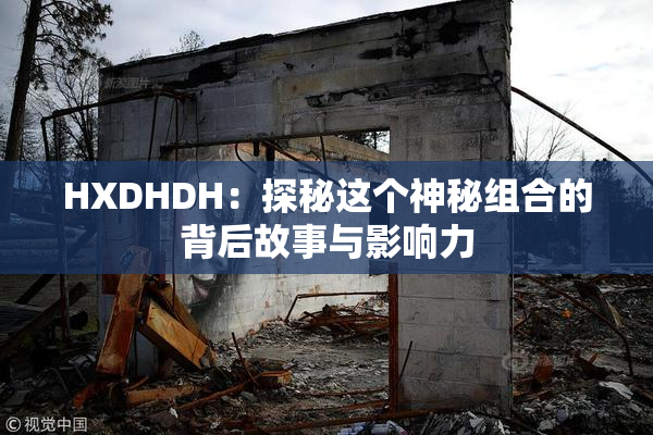 HXDHDH：探秘这个神秘组合的背后故事与影响力