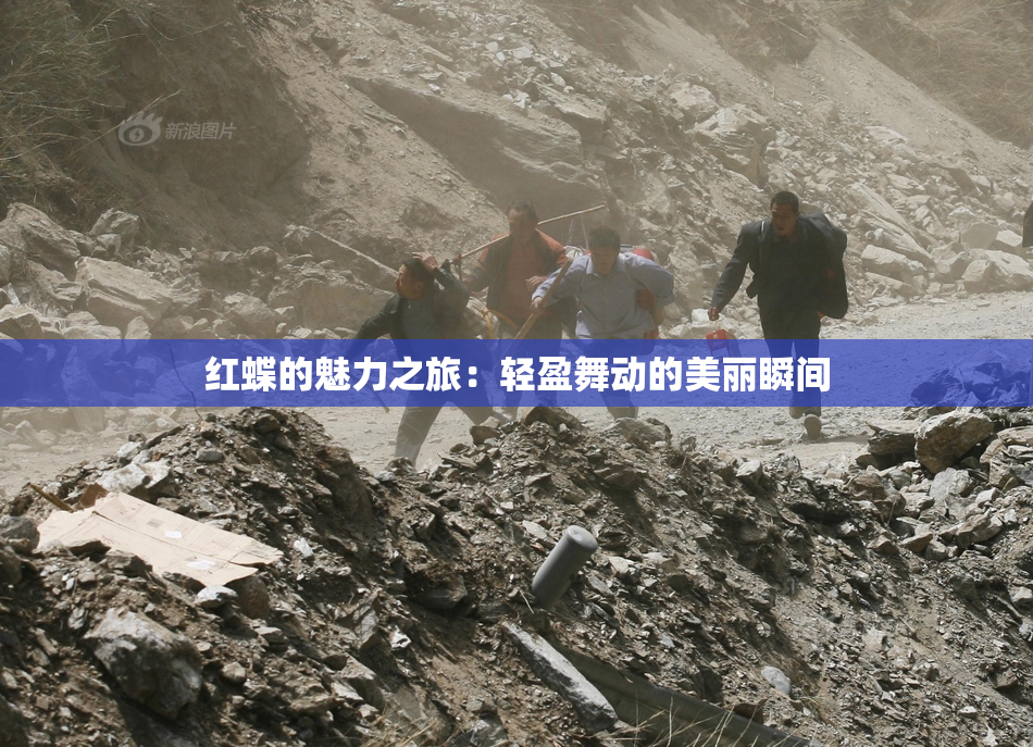 红蝶的魅力之旅：轻盈舞动的美丽瞬间