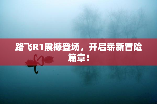 路飞R1震撼登场，开启崭新冒险篇章！