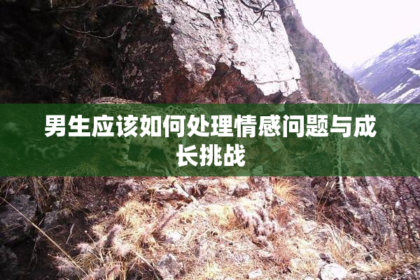 男生应该如何处理情感问题与成长挑战