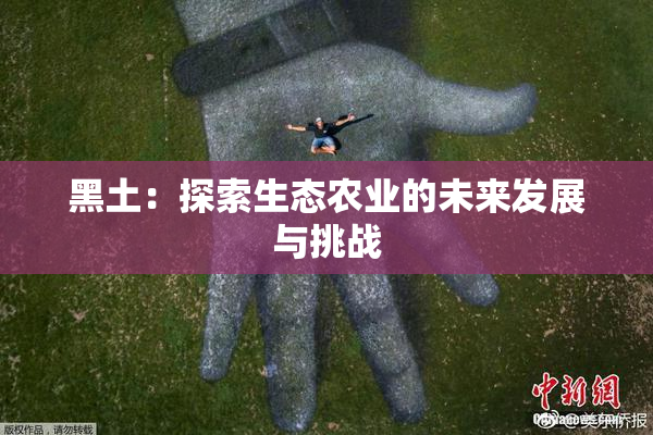 黑土：探索生态农业的未来发展与挑战