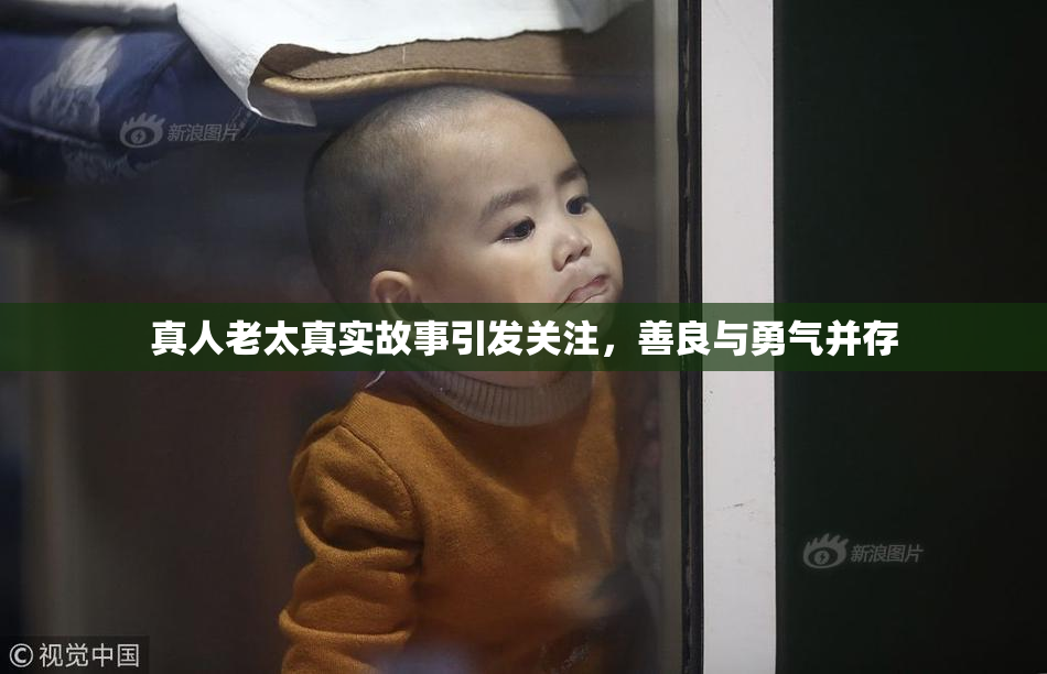 真人老太真实故事引发关注，善良与勇气并存