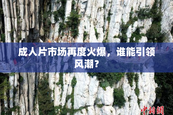 成人片市场再度火爆，谁能引领风潮？