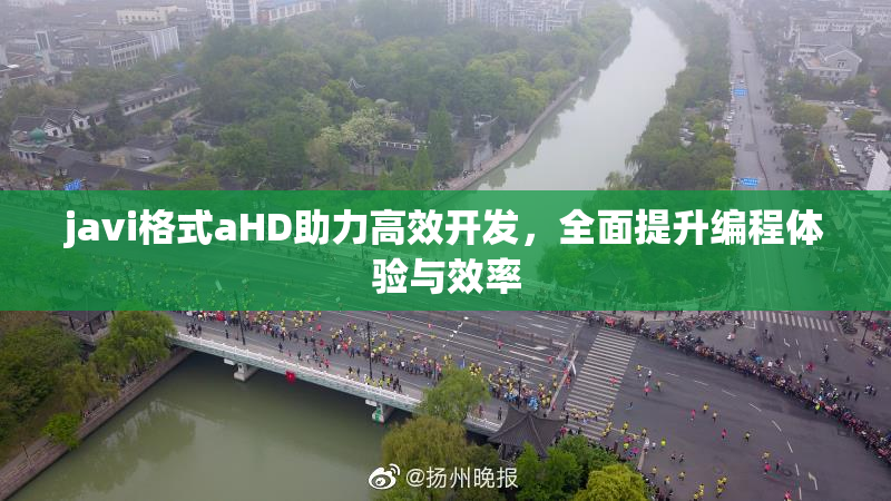 javi格式aHD助力高效开发，全面提升编程体验与效率