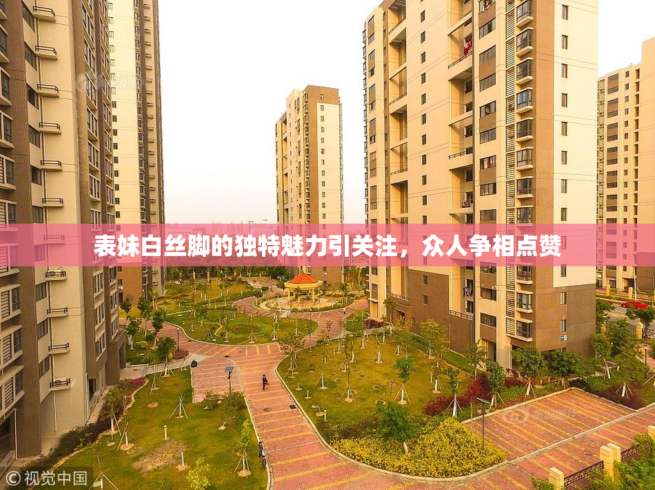 表妹白丝脚的独特魅力引关注，众人争相点赞