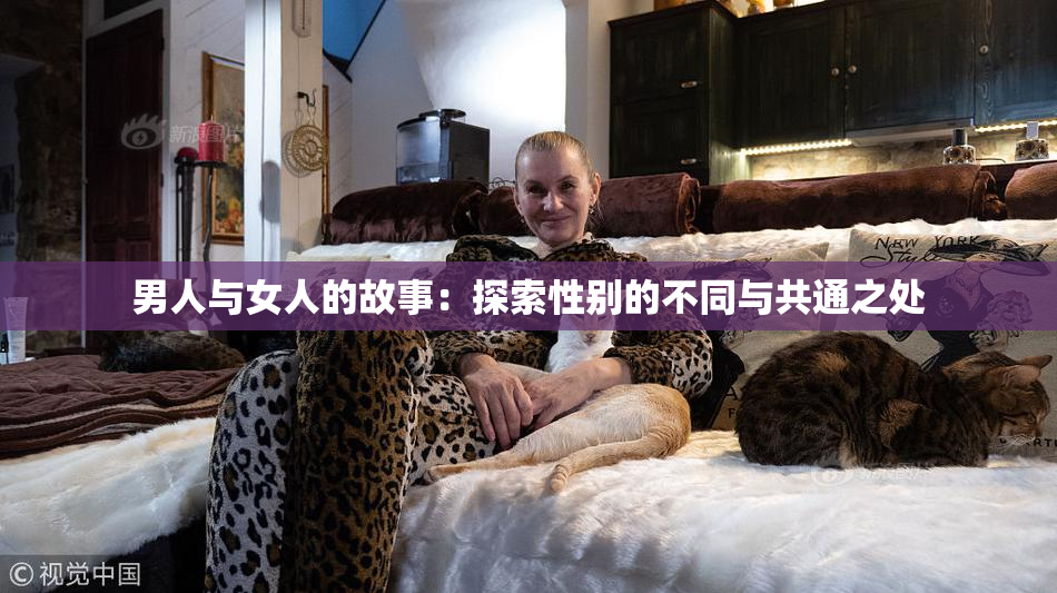男人与女人的故事：探索性别的不同与共通之处