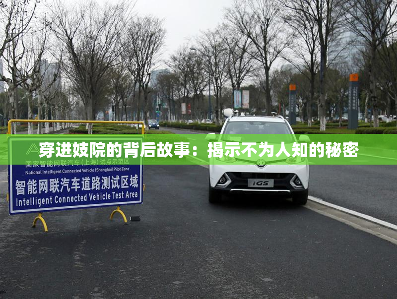 穿进妓院的背后故事：揭示不为人知的秘密