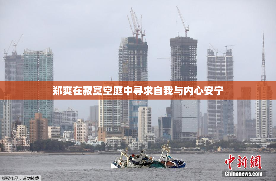 郑爽在寂寞空庭中寻求自我与内心安宁