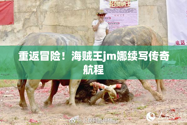 重返冒险！海贼王jm娜续写传奇航程