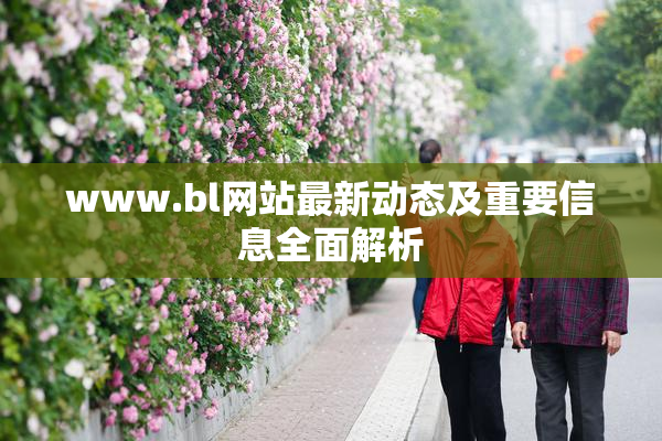 www.bl网站最新动态及重要信息全面解析