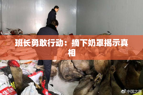 班长勇敢行动：摘下奶罩揭示真相