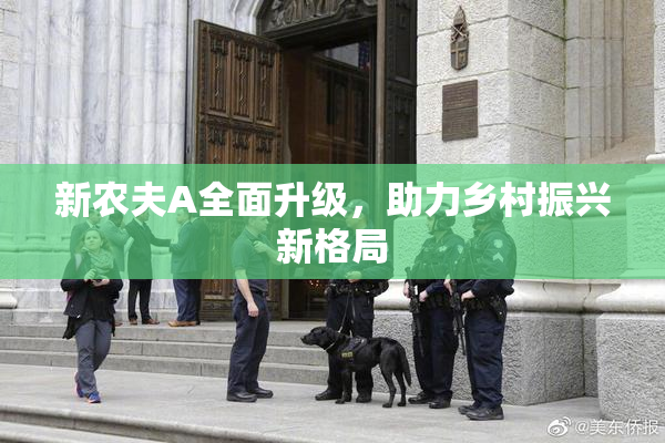 新农夫A全面升级，助力乡村振兴新格局