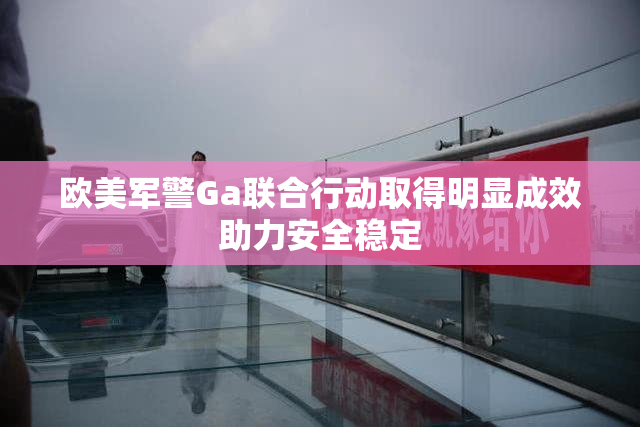 欧美军警Ga联合行动取得明显成效助力安全稳定