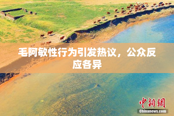 毛阿敏性行为引发热议，公众反应各异