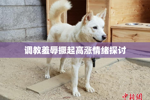 调教羞辱撅起高涨情绪探讨