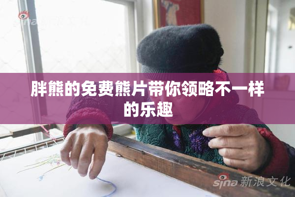 胖熊的免费熊片带你领略不一样的乐趣