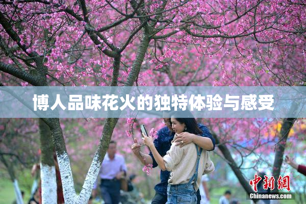 博人品味花火的独特体验与感受