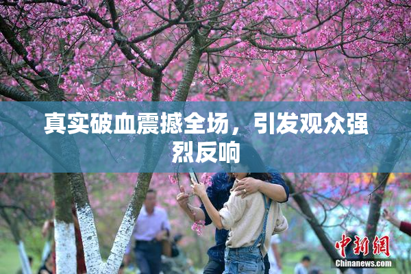 真实破血震撼全场，引发观众强烈反响