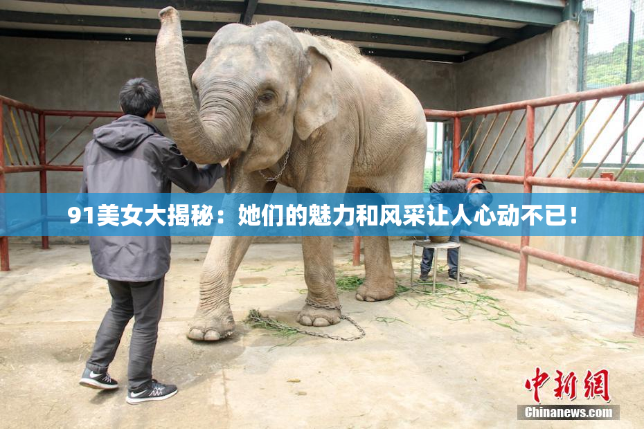 91美女大揭秘：她们的魅力和风采让人心动不已！