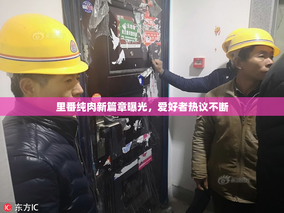 里番纯肉新篇章曝光，爱好者热议不断