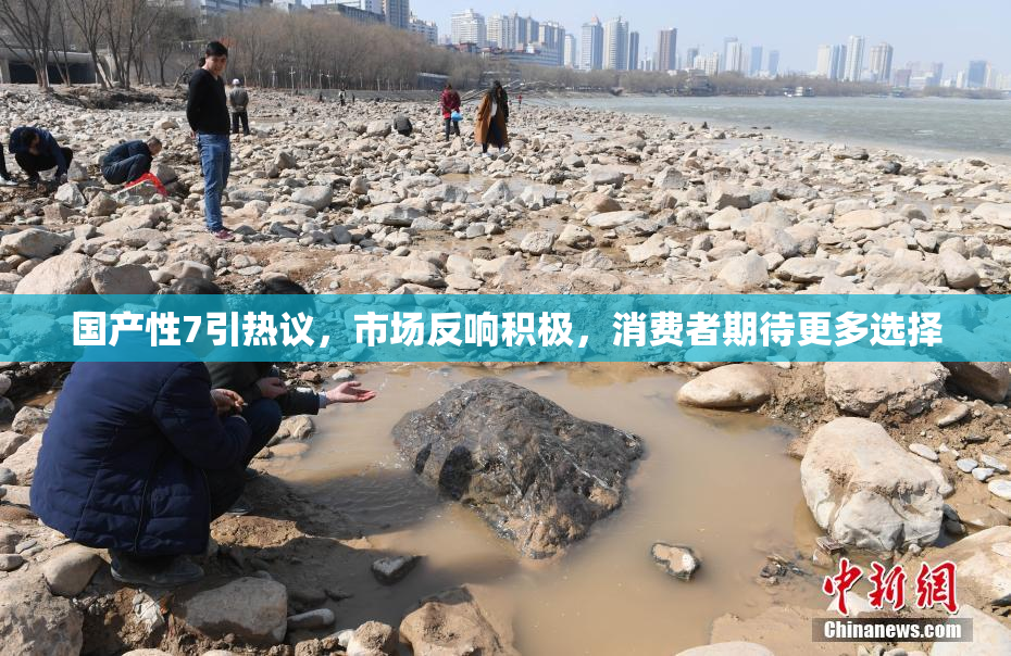 国产性7引热议，市场反响积极，消费者期待更多选择