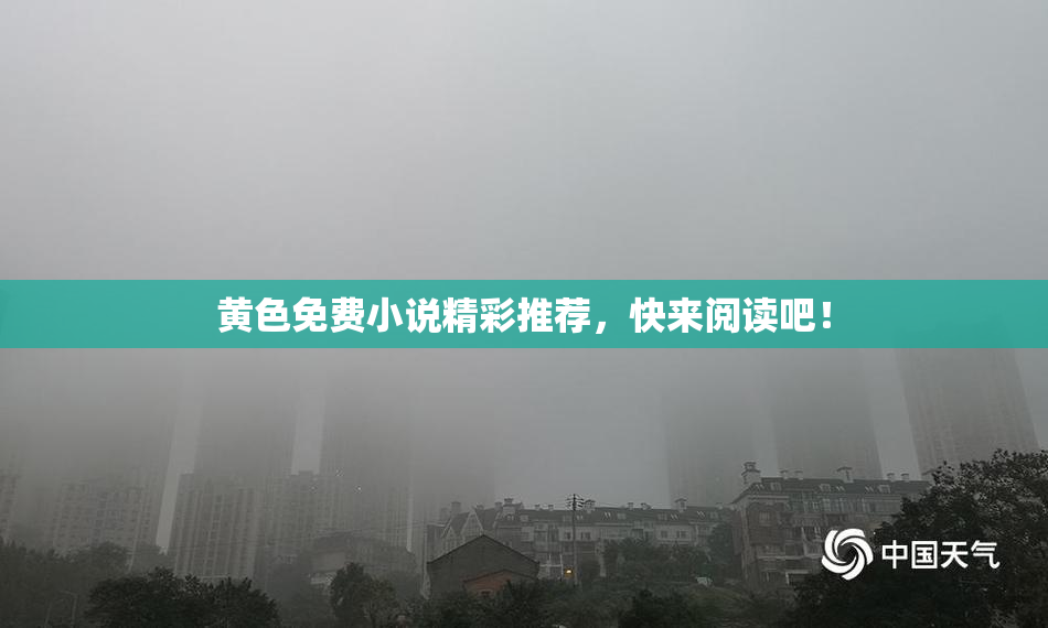 黄色免费小说精彩推荐，快来阅读吧！