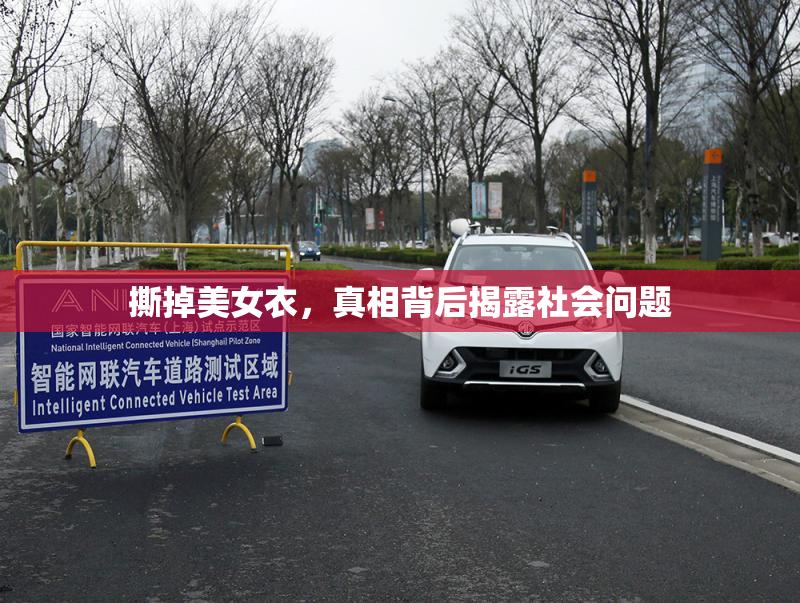 撕掉美女衣，真相背后揭露社会问题