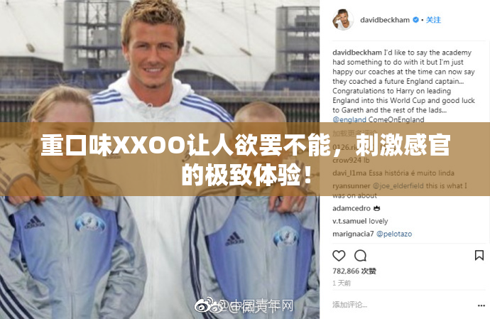 重口味XXOO让人欲罢不能，刺激感官的极致体验！