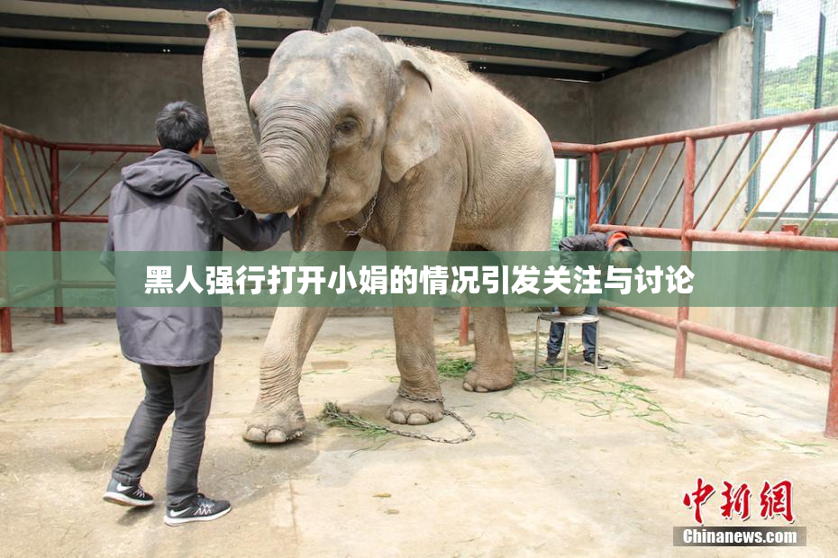 黑人强行打开小娟的情况引发关注与讨论