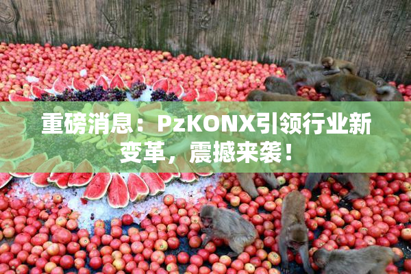 重磅消息：PzKONX引领行业新变革，震撼来袭！