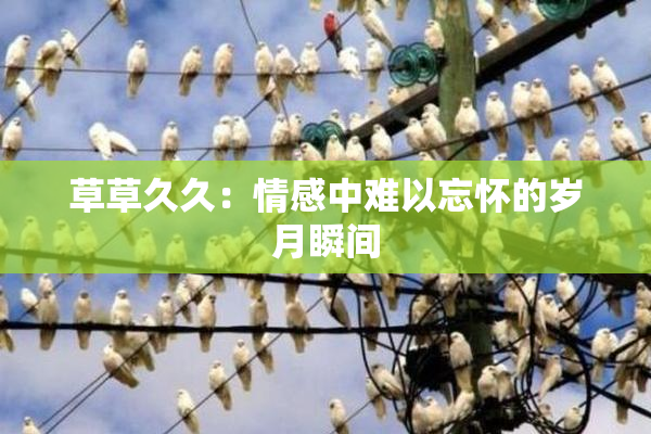 草草久久：情感中难以忘怀的岁月瞬间