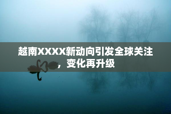 越南XXXX新动向引发全球关注，变化再升级