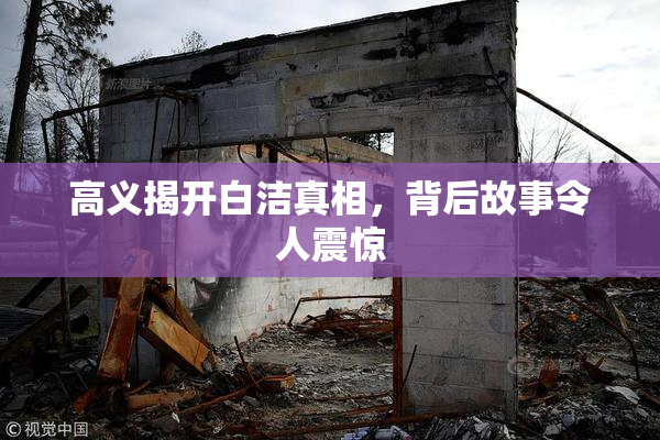 高义揭开白洁真相，背后故事令人震惊