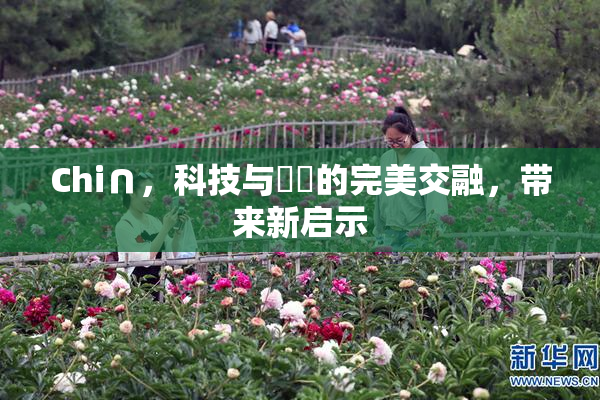 Chi∩，科技与藝術的完美交融，带来新启示